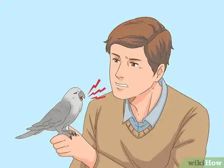 Image titled Know if Your Bird Is Sick Step 14
