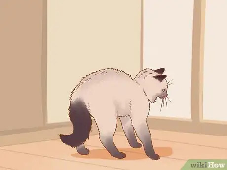 Image titled Keep a Cat from Waking You Up Step 1