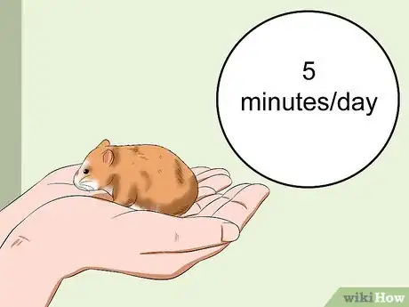 Image titled Make Your Hamster Trust You Step 10