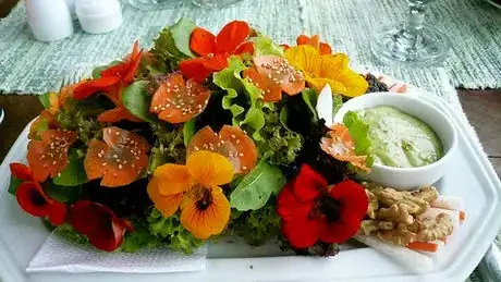 Image titled Nasturtium Salad