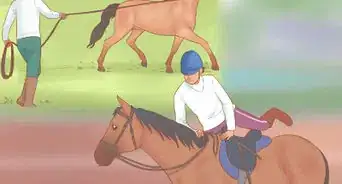Train a Horse