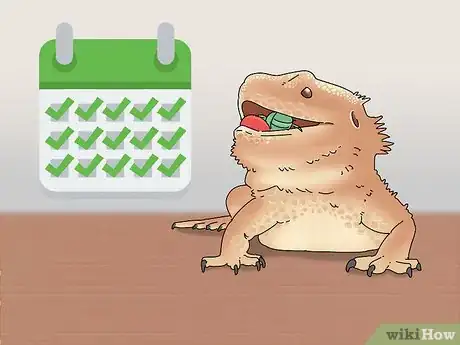 Image titled Buy a Bearded Dragon Step 10