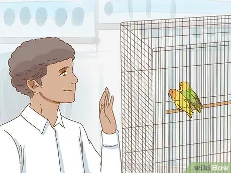 Image titled Keep a Lovebird As a Pet Step 3