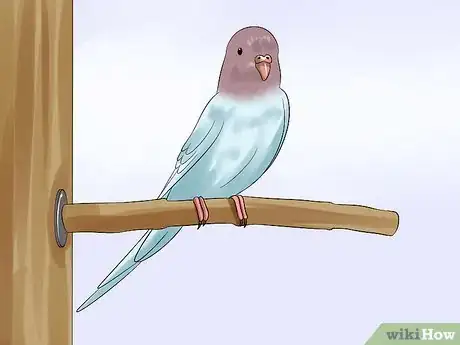 Image titled Trim a Bird's Beak Step 9