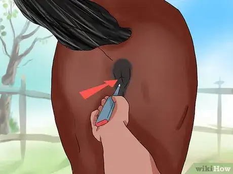 Image titled Take a Horse's Temperature Step 11