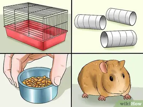 Image titled Convince Your Parents to Buy You a Guinea Pig Step 7
