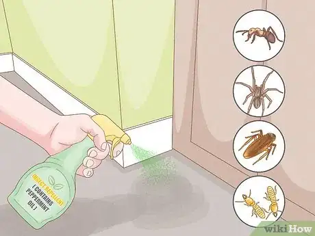 Image titled Get Rid of Household Pests Without Chemicals Step 13