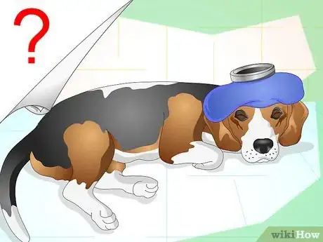 Image titled Care for Beagles Step 3