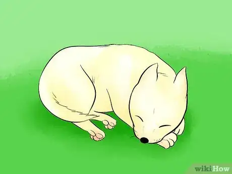 Image titled Draw a Cartoon Dog Step 28
