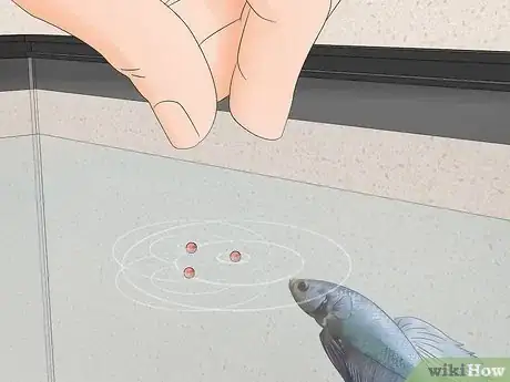 Image titled Feed a Betta Fish Peas Step 13