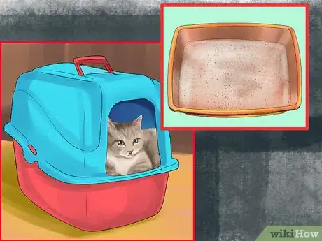 Image titled Retrain a Cat to Use the Litter Box Step 4
