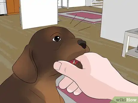 Image titled Stop Your Dog from Biting Other People Step 9