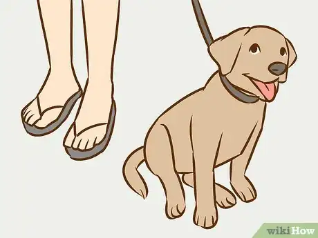 Image titled Persuade Your Parents to Get a Dog Step 14