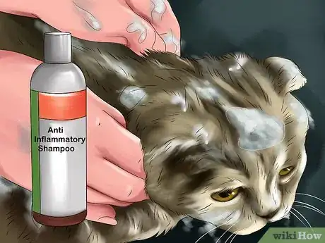 Image titled Handle Essential Oil Poisoning in Cats Step 6
