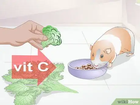 Image titled Treat Respiratory Problems in Guinea Pigs Step 15