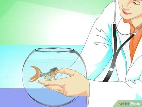 Image titled Save a Dying Goldfish Step 12
