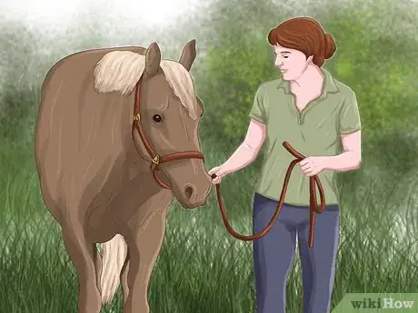 Image titled Show Your Horse That You Love Him Step 4
