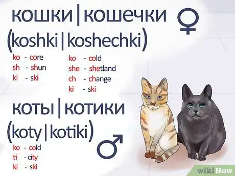Image titled Say Cat in Russian Step 4