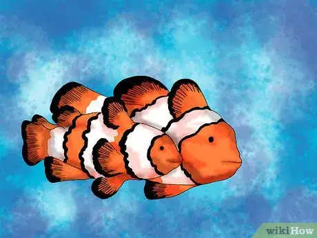 Image titled Breed Clownfish Step 3