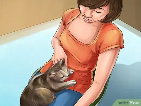 Image titled Turn Your Cat Into a Lap Cat Step 4