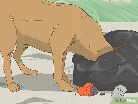 Image titled Comfort Dog with Pancreatitis Step 11