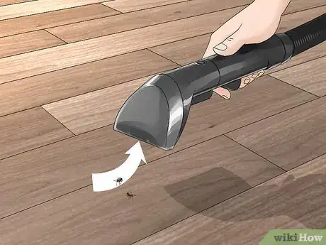Image titled Prevent Stink Bugs Step 13