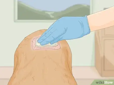 Image titled Remove a Dog’s Skin Tags at Home Step 7