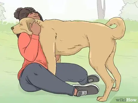 Image titled Safely Sedate a Dog at Home Step 12