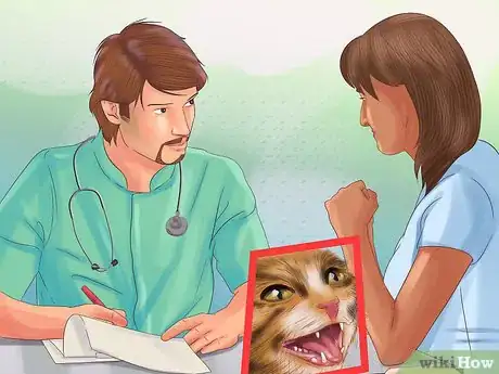 Image titled Understand the Cat's Meow Step 13