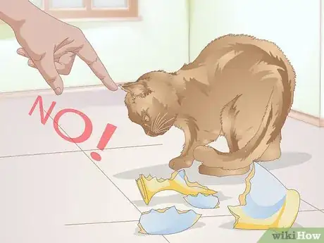 Image titled Get Your Cat to Stop Knocking Things Over Step 5