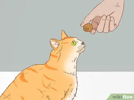Image titled Teach Your Cat to Sit Step 7