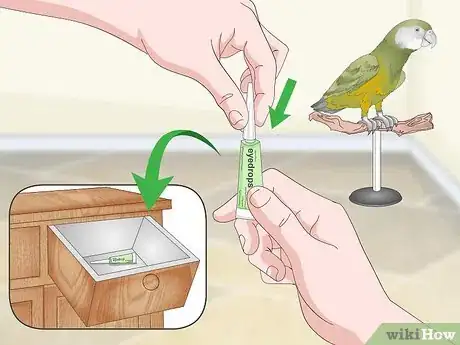 Image titled Apply Eye Drops in a Parrot's Eye Step 13