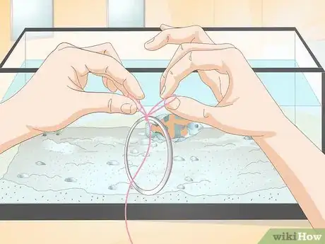 Image titled Train Your Fish to Do Tricks Step 4