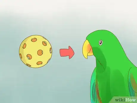 Image titled Play with a Large Parrot Step 17