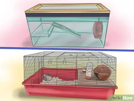 Image titled Create a Bond With Your Hamster Step 1