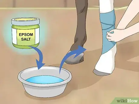 Image titled Treat Edema in Horses Step 7