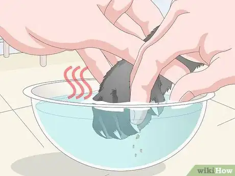 Image titled Clean Your Cat's Feet Step 7