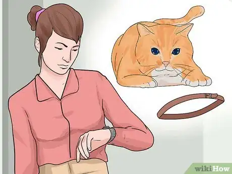 Image titled Put a Collar on a Cat Step 1