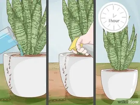 Image titled Remove Ants from Potted Plants Step 6