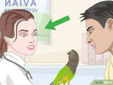 Image titled Spot Beak Problems in a Senegal Parrot Step 7