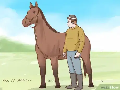 Image titled Take Care of Your Horse Step 20