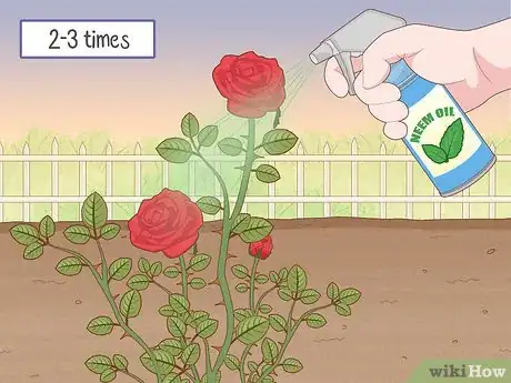 Image titled Get Rid of Aphids on Roses Organically Step 9