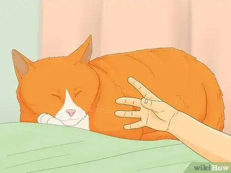 Image titled Take Care of Your Pet Step 3