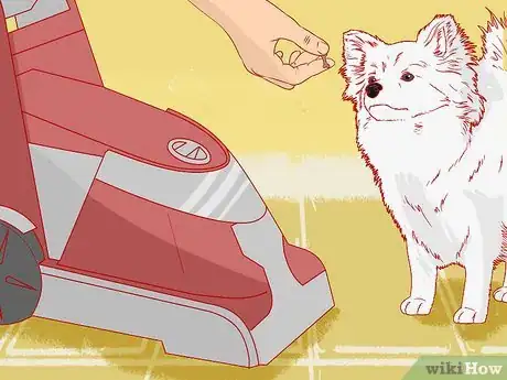 Image titled Teach Your Pet Not to be Scared of the Vacuum Cleaner Step 8