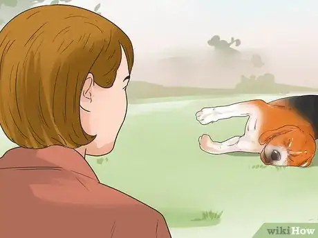 Image titled Treat Epilepsy in Beagles Step 9