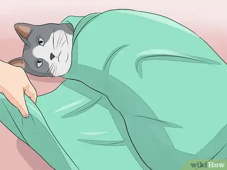 Image titled Give Your Cat Nose Drops Step 18