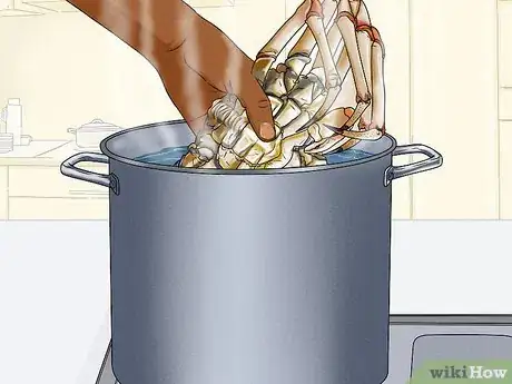 Image titled Cook Spider Crab Step 4