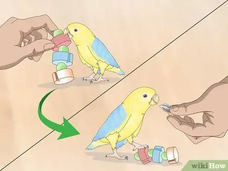 Image titled Deal with Parrotlet Aggression Step 3