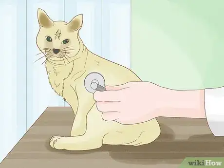 Image titled Stop a Cat from Pooping on the Floor Step 1