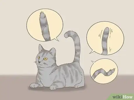 Image titled Communicate with Your Cat Step 1